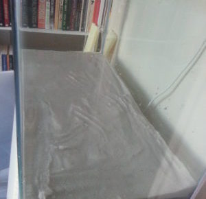 kolay akvaryum kurulumu 1 e1525468333574 300x290 1