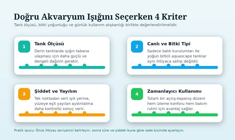 Akvaryum ışığı seçerken karar vermeyi kolaylaştıran dört temel kriter