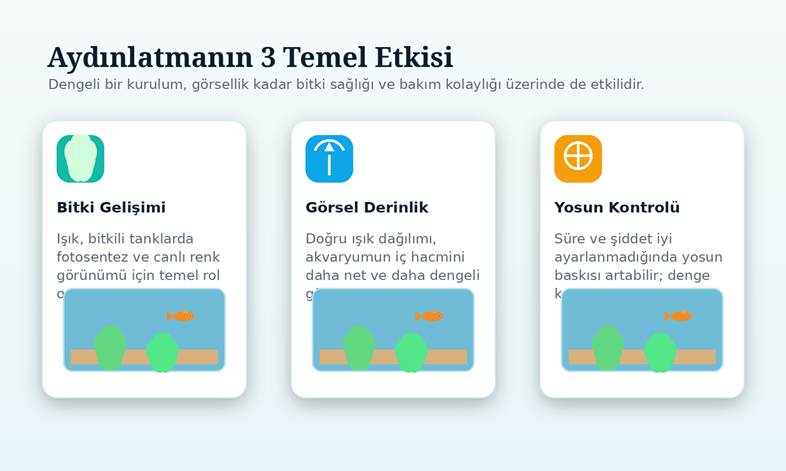 Aydınlatmanın bitki gelişimi, görsel derinlik ve bakım dengesi üzerindeki etkisi